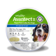 Vetality Avantect II Flea and Tick Collar for Dogs Online now