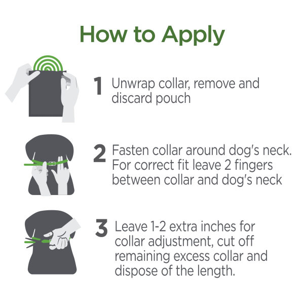 Vetality Avantect II Flea and Tick Collar for Dogs Online now