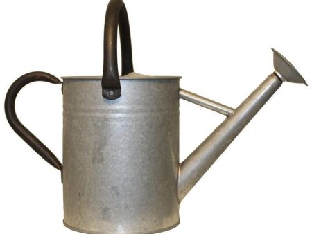 AGED GALVANIZED WATERING CAN Online Hot Sale