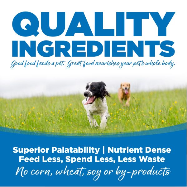 NutriSource® Large Breed Chicken & Rice Recipe Dog Food Online Sale