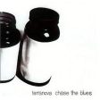 Terranova - Chase The Blues (12 ) (Near Mint (NM or M-)) Sale