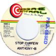 Anthony B   Pinchers - Stop Curfew   Heathen (7 ) (Very Good Plus (VG+)) on Sale