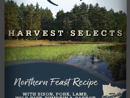 Nutrisource Harvest Selects Northern Feast Canned Dog Food Online now