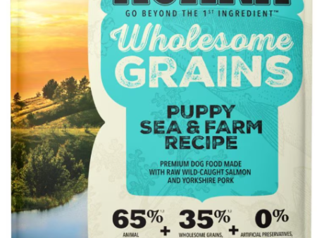 Acana Wholesome Grains Sea & Farm Recipe For Puppies Discount